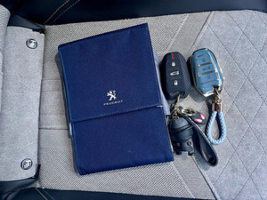 Peugeot E-2008 GT (9 фото из 11)