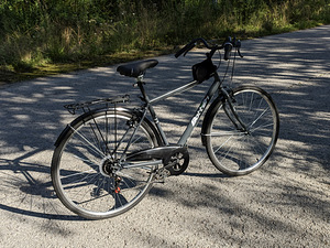 Uueväärne Linnaratas Bottari 28" - raam 50cm (2 foto / 10)