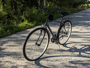 Uueväärne Linnaratas Bottari 28" - raam 50cm (4 foto / 10)