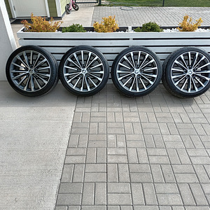 Valuveljed suverehvidega (Škoda, VW, Audi, Seat) (1 foto / 6)