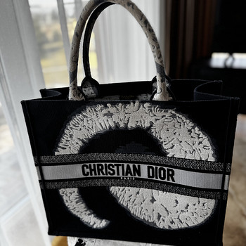 Christian Dior tote kott