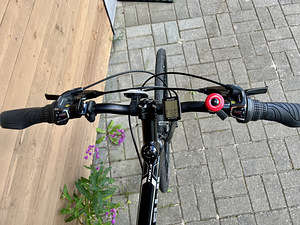 M: Fuji Absolute 2.3 (3 фото из 6)