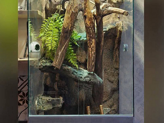 Püstine suur terraarium