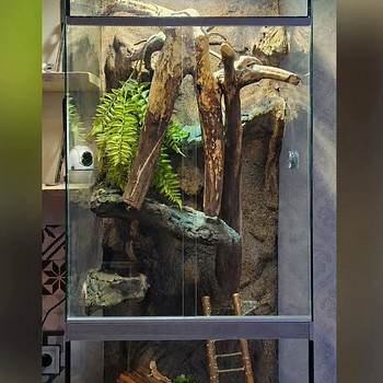 2 terraariumi soodushinnaga