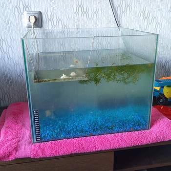 Akvaarium