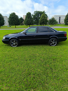 Audi a6 guattro (6 foto / 12)