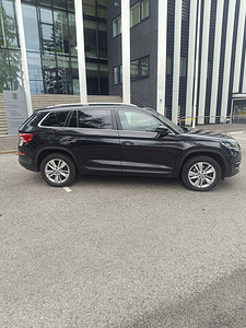 Škoda kadiak (3 foto / 10)