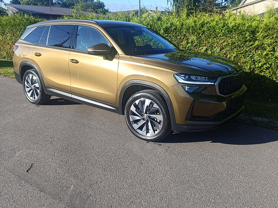 Škoda kodiak