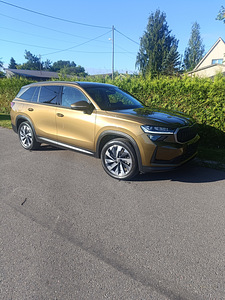 Škoda kodiak (1 foto / 14)