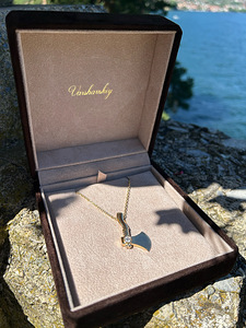 Unikaalne meeste kaelakee Champion 18K (750) kullast (4 foto / 10)