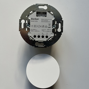 Berker R1/R3 seeria klahvdimmer