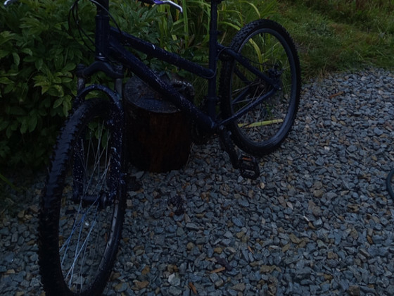 Jalgratas-Bike-jaalgrata