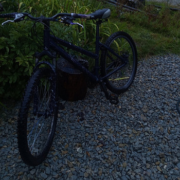 Jalgratas-Bike-jaalgrata