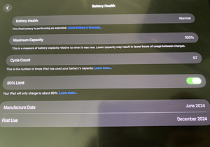 Apple IPad Pro 13' M4 2024 (256GB, Wifi + Cellular) (5 foto / 5)