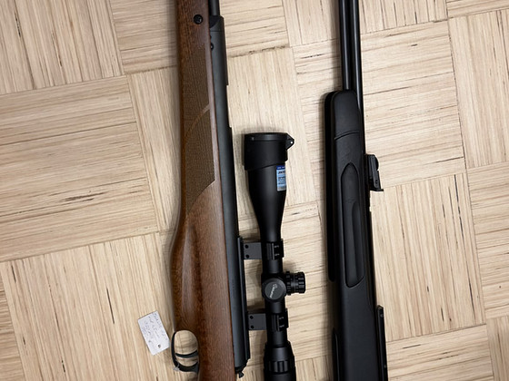 Diana Mod.470 TH + Gamo CFX