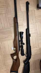 Diana Mod.470 TH + Gamo CFX (1 foto / 8)