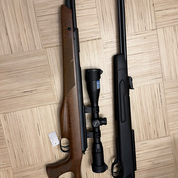 Diana Mod.470 TH + Gamo CFX