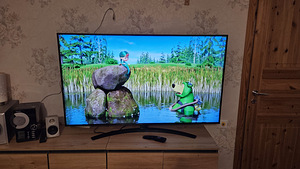 Teler LG 55" (140 cm) Wi-Fi Bluetooth Smart TV (1 foto / 5)