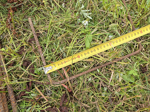 Rangid 6/8/12mm armatuur teras ehitus (9 foto / 9)
