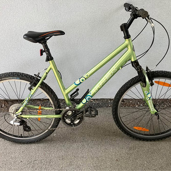 Trek 3900 WSD 26