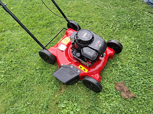 Muruniiduk MTD 51 BC (3 foto / 9)