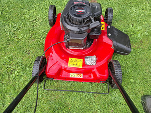Muruniiduk MTD 51 BC (4 foto / 9)