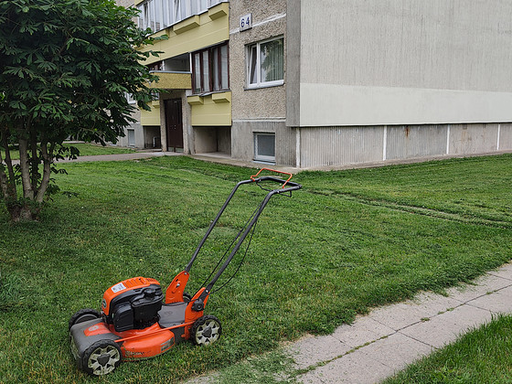 Услуги