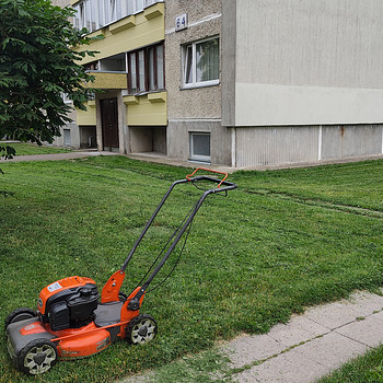 Услуги