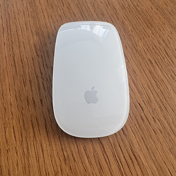 Apple mouse