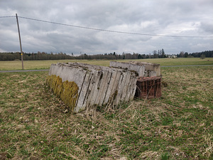 Betoonplokid ja -paneelid (9 foto / 10)