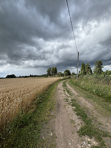 Kõnnu, Jõgeva vald, Jõgevamaa (3 foto / 29)