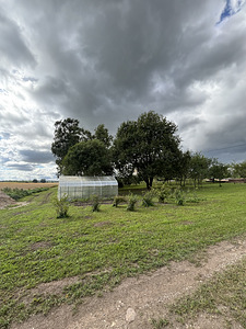Kõnnu, Jõgeva vald, Jõgevamaa (4 foto / 29)