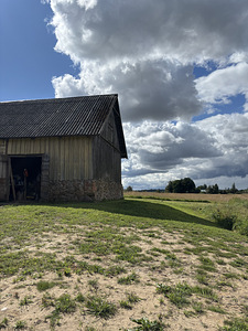 Kõnnu, Jõgeva vald, Jõgevamaa (13 foto / 29)