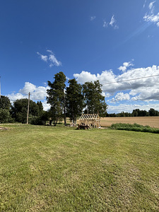 Kõnnu, Jõgeva vald, Jõgevamaa (27 foto / 29)