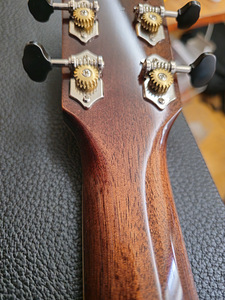 Fender Paramount PM - 1 Deluxe SB (4 foto / 9)