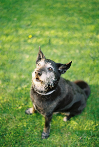 Minolta md 50mm f/1.7 (4 foto / 4)