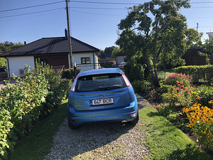 FORD FOCUS хэтчбек 2010 (8 фото из 11)