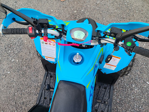 TAO Motors 125 (5 foto / 6)