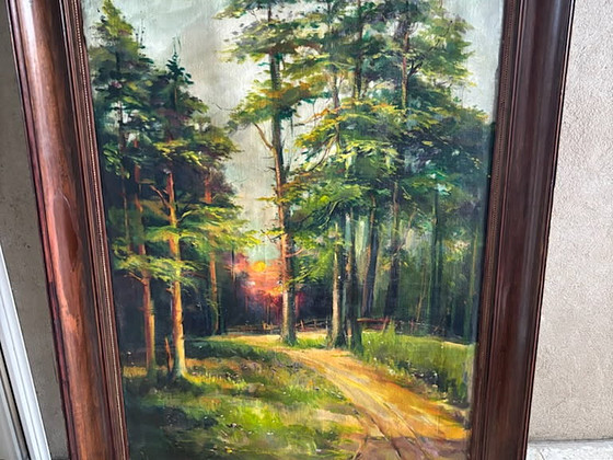 Metsatee päikeseloojangus