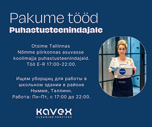 Pakume tööd puhastusteenindajale (1 foto / 1)