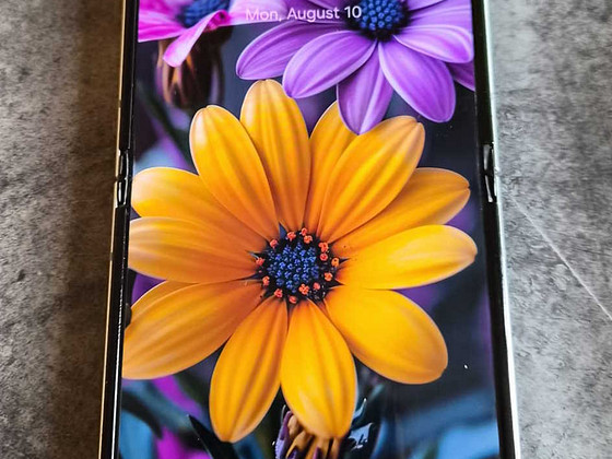 Samsung Galaxy Flip5 Flip 5