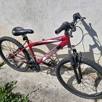 Jalgratas Sabre Trace 24"
