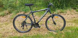 JAAPANI HOOLDATUD JALGRATAS "NISHIKI" (1 foto / 3)