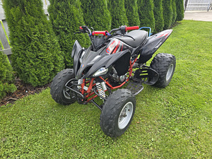Pentora 250cc механика (2 фото из 10)
