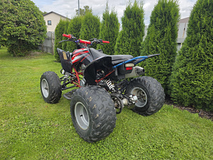 Pentora 250cc механика (3 фото из 10)