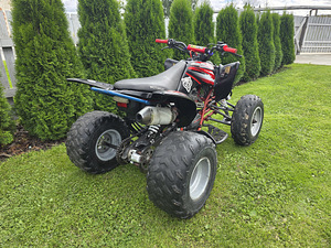 Pentora 250cc механика (4 фото из 10)