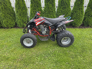 Pentora 250cc механика (5 фото из 10)