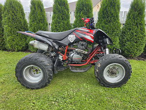 Pentora 250cc механика (6 фото из 10)