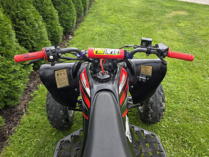 Pentora 250cc механика (8 фото из 10)