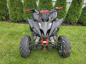 Pentora 250cc механика (9 фото из 10)